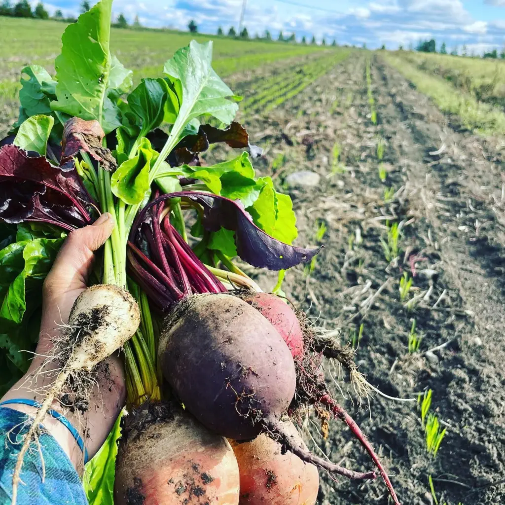Ferme Hantée,Lotbinière