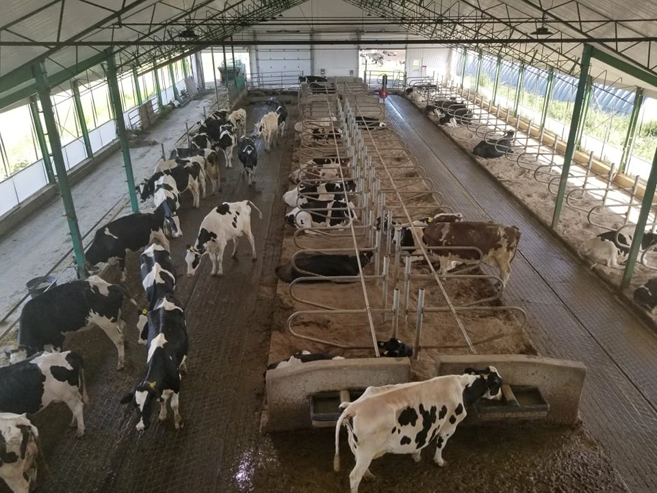 Ferme Juste''O''Lait,Saint-Édouard-de-Lotbinière