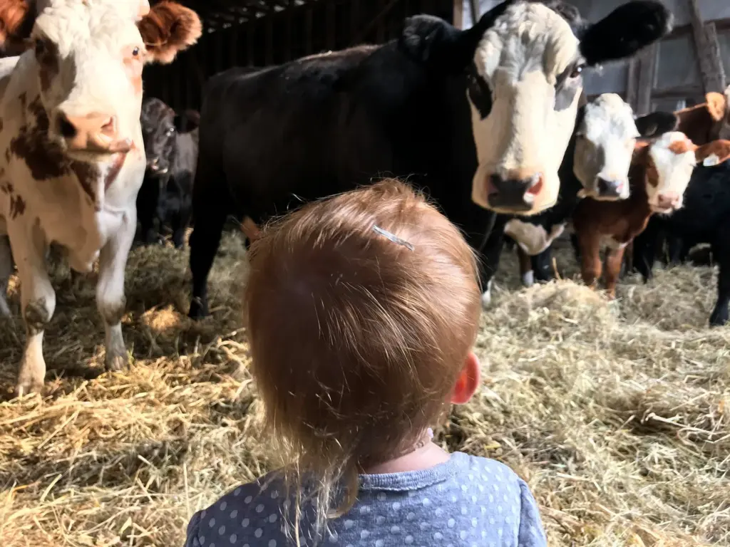 Ferme Marijoli,Saint-Antoine-de-Tilly