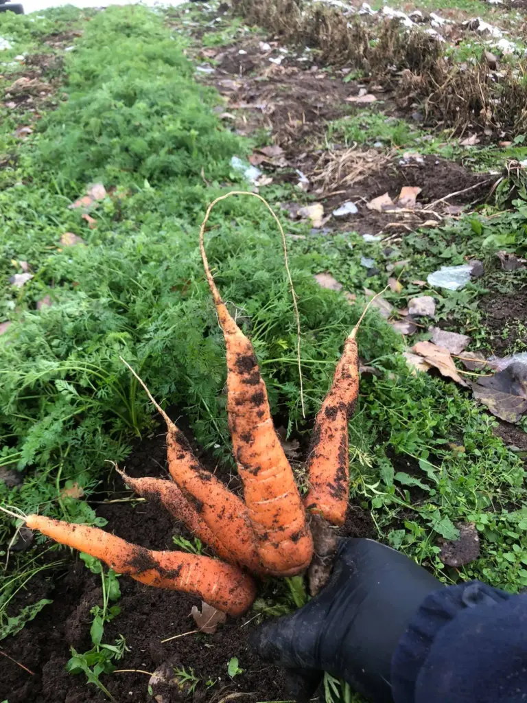 JardinsRochers,Sainte-Croix