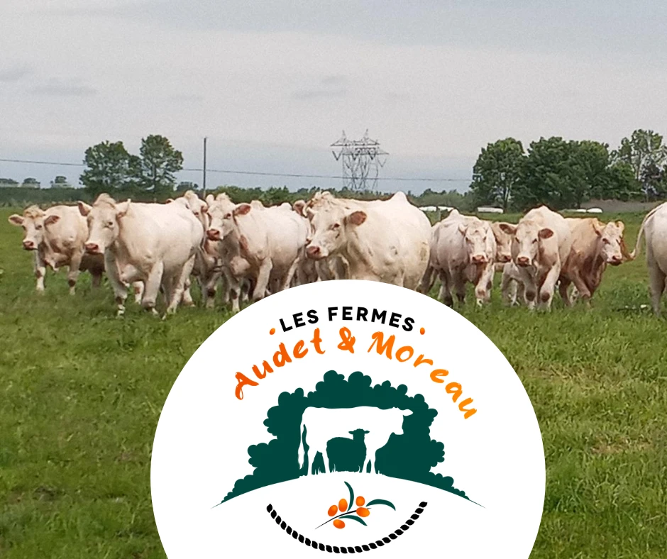 Les Fermes Audet et Moreau,Saint-Agapit