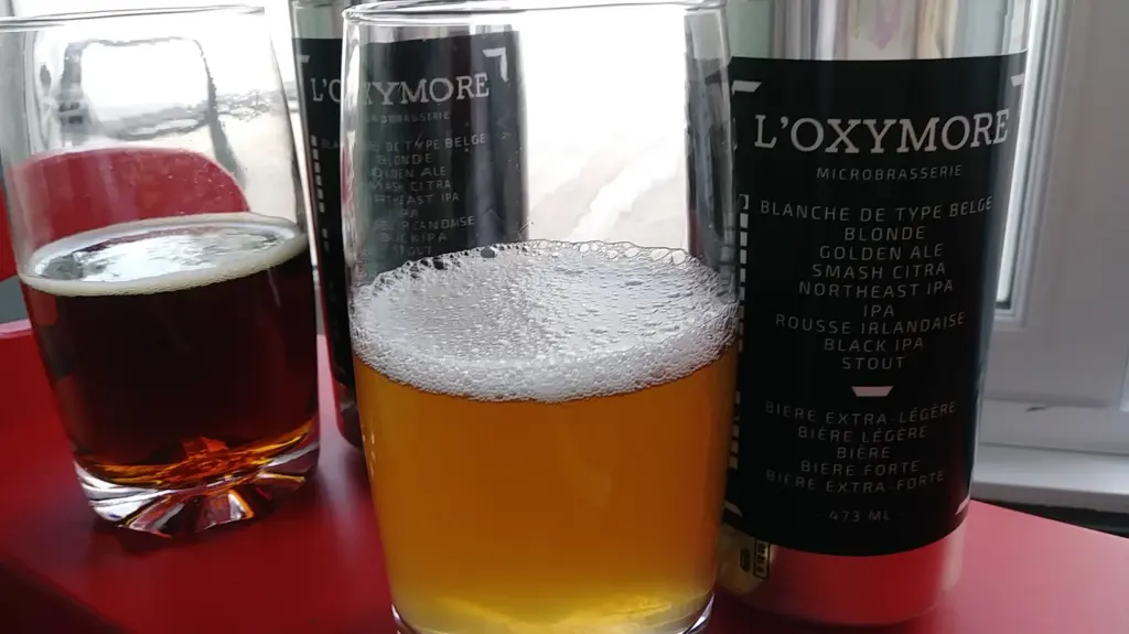 Oxymore Microbrasserie,Saint-Gilles
