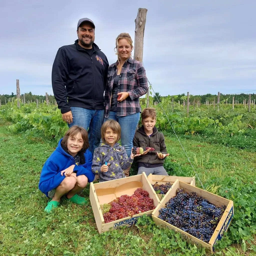 Vignoble Le 10-vin,Saint-Apollinaire