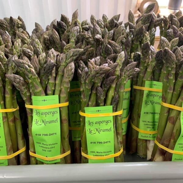 Asperges 1lb - Miramel