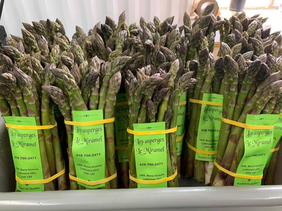 Asperges 1lb - Miramel