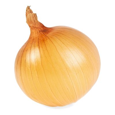 Oignon jumbo - Sysco