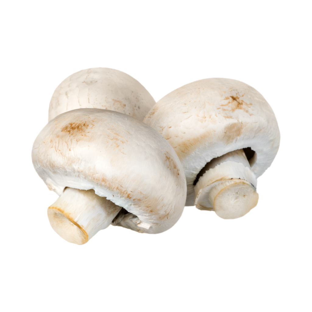 Champignon - colabor