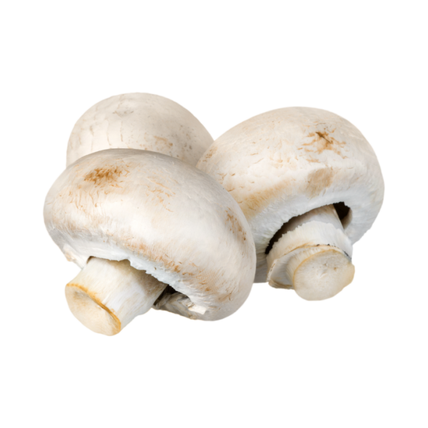 Champignon - colabor