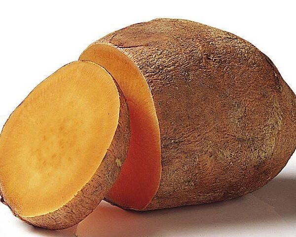 Patate douce - Sysco