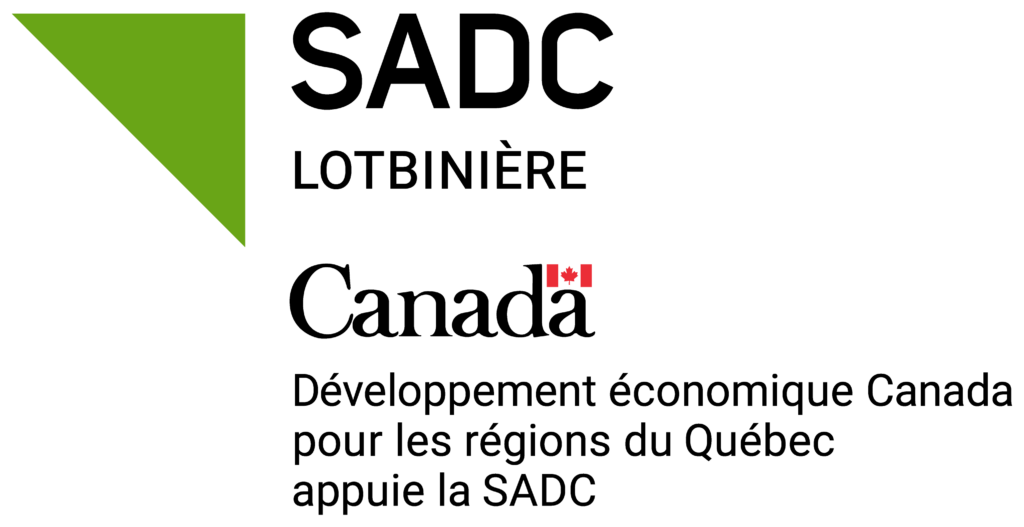 Triangle vert et drapeau canadien sur fond noir