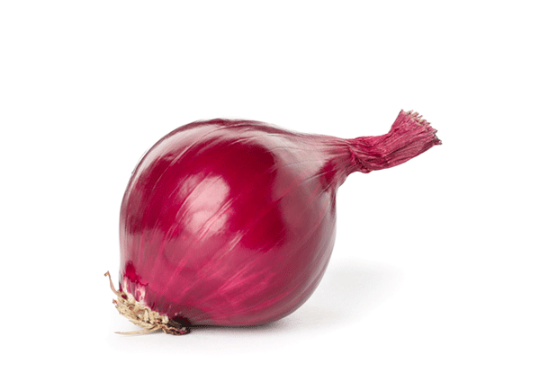Oignon rouge - Colabor