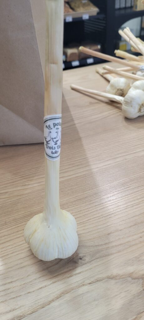 Tête d’ail frais à longue tige