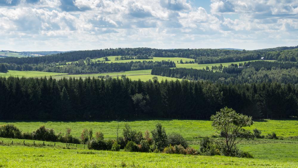 Paysage rural verdoyant avec collines et forêt