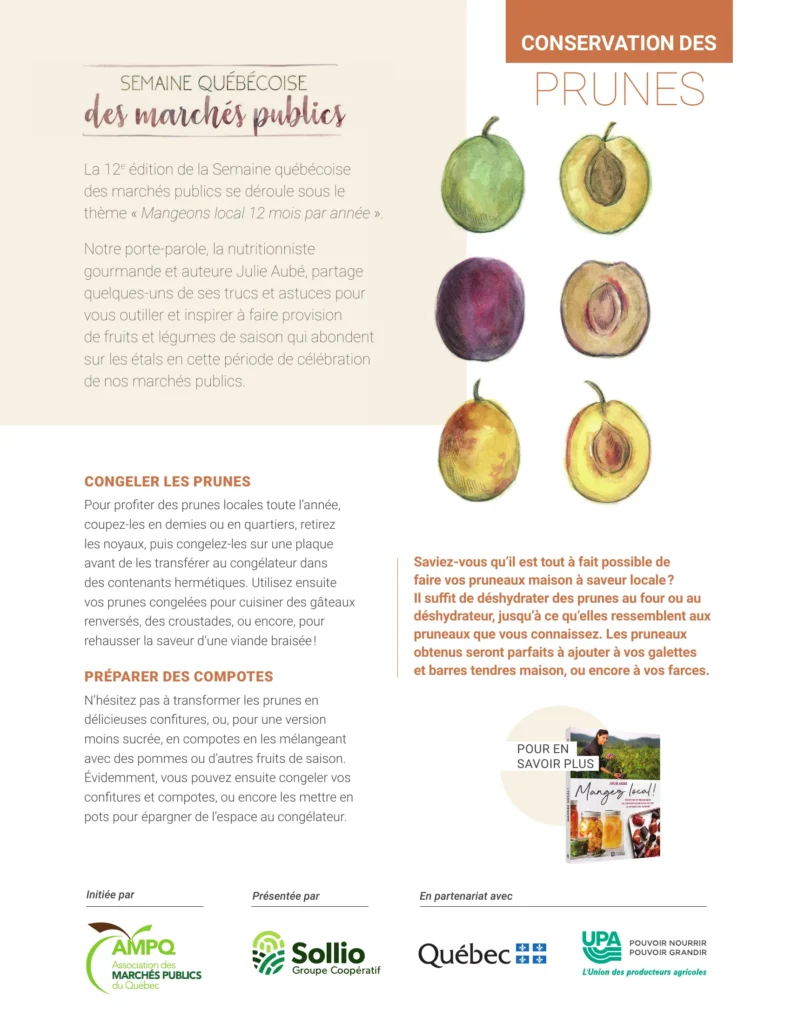 Affiche sur la conservation des prunes locales