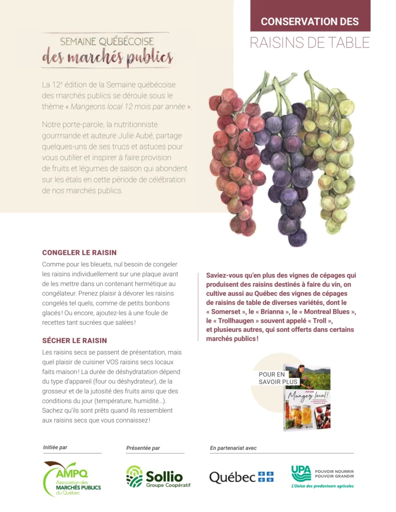 Affiche conservation des raisins de table illustrée