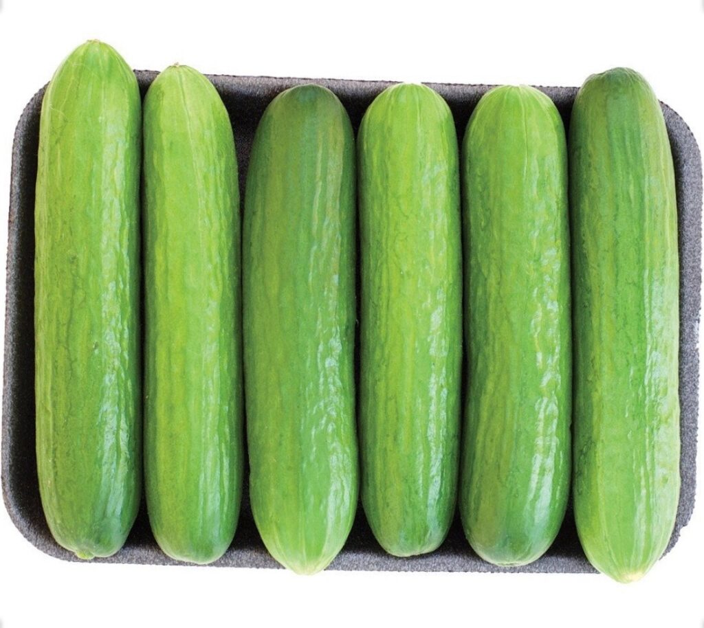 Six concombres verts alignés dans une barquette