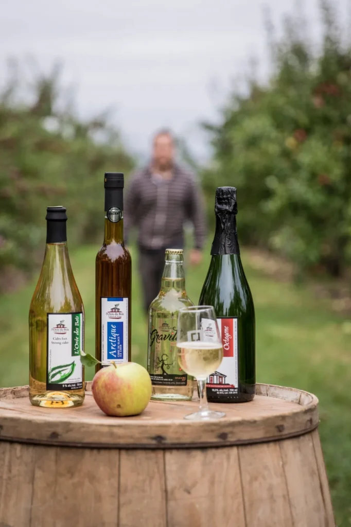 Bouteilles de cidre sur tonneau dans verger