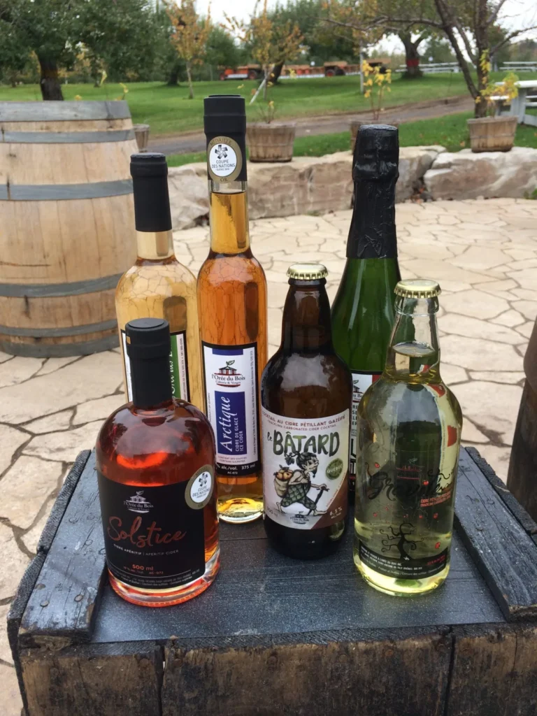 Bouteilles de cidre artisanal sur table en extérieur