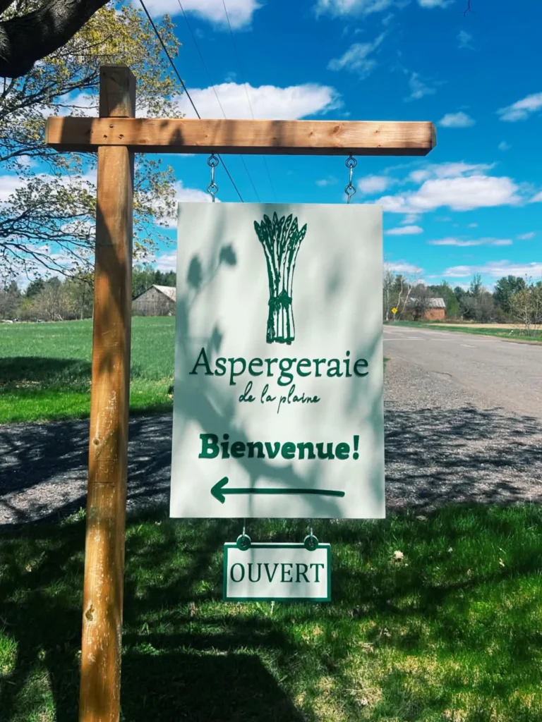 Panneau aspergeraie ouverte au bord de route