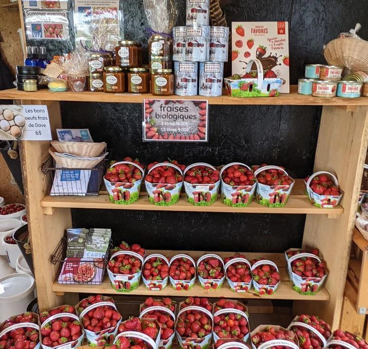 Étal de fraises biologiques en cagettes
