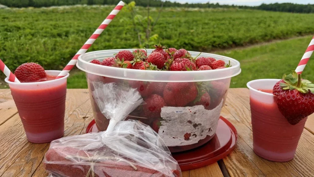 Fraises fraîches et jus de fraise en plein champ