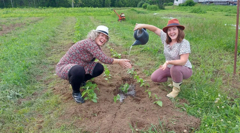 Deux femmes arrosent des jeunes plants au potager