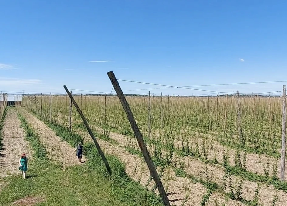 Champ cultivé avec poteaux et deux enfants