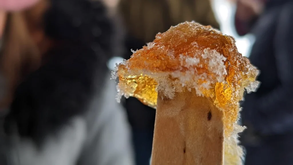 Tire d’érable gelée sur bâton dans la neige