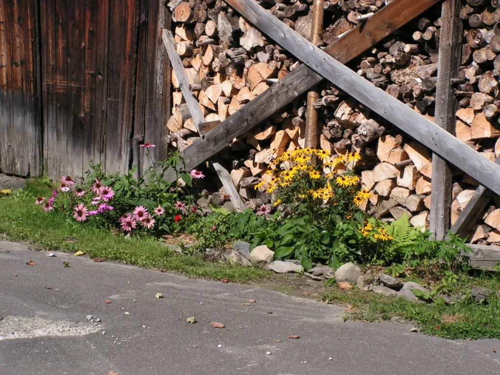 Bûches empilées et fleurs au bord d’un chemin