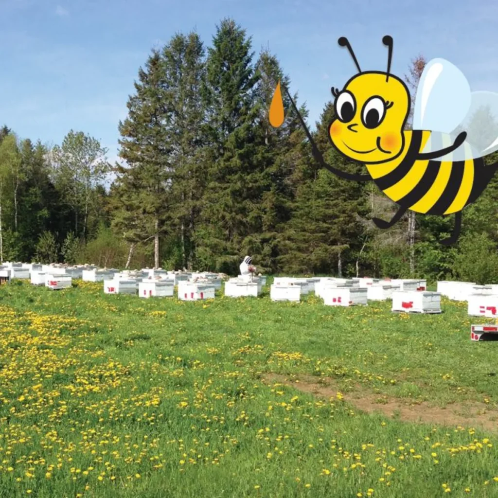 Ruches dans un champ avec abeille cartoon