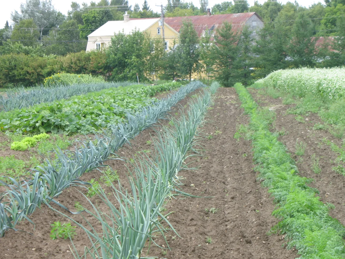 Ferme Hervé Barra