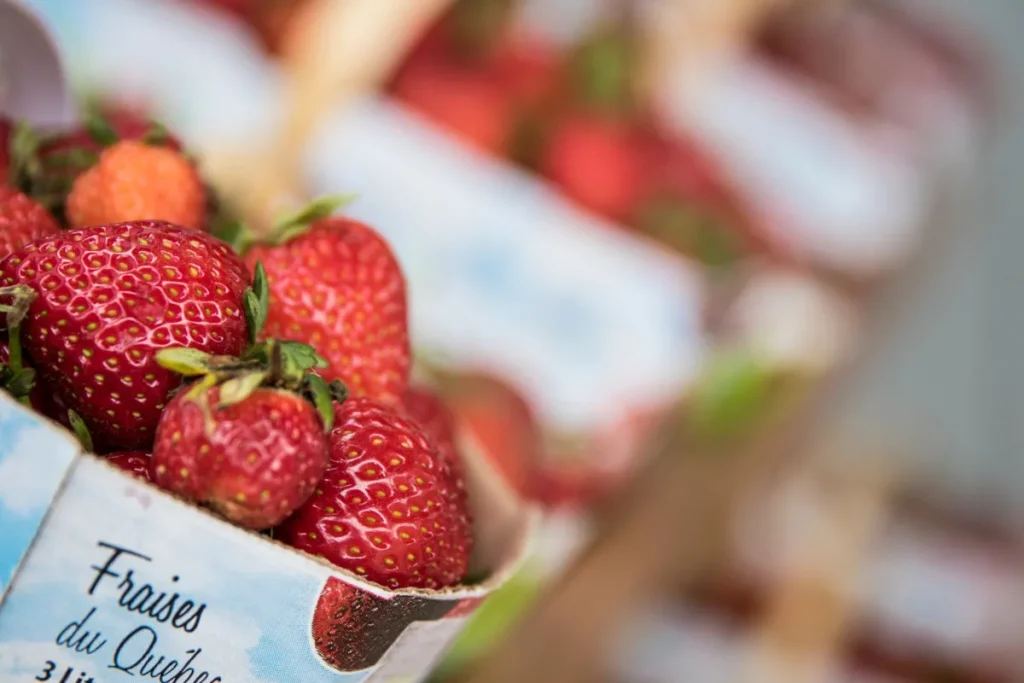 Barquettes de fraises du Québec fraîches