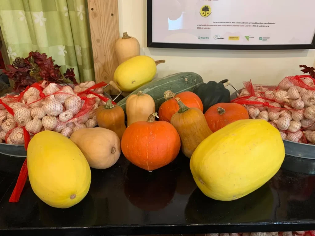 Courges et citrouilles avec sacs d’ail