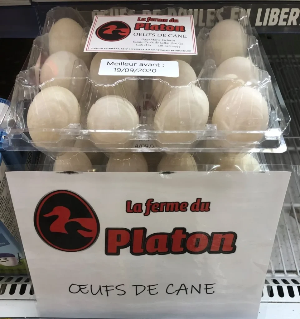 Boîte d’œufs de cane en vitrine réfrigérée