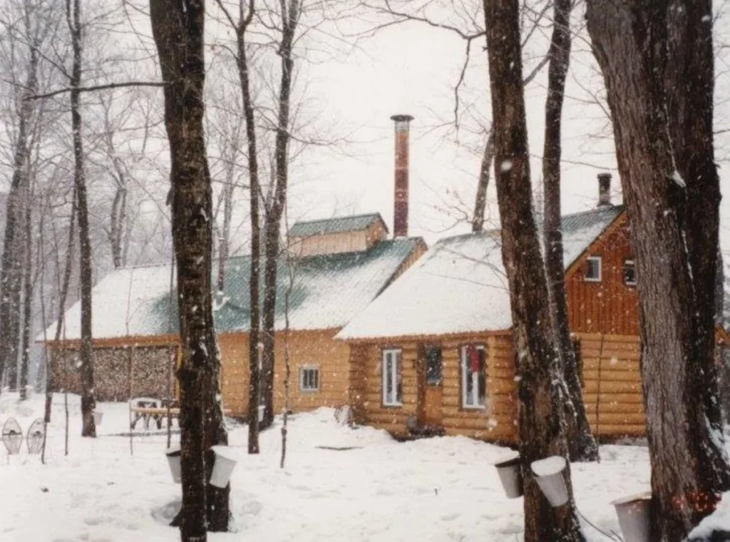 Cabane en bois sous la neige en forêt