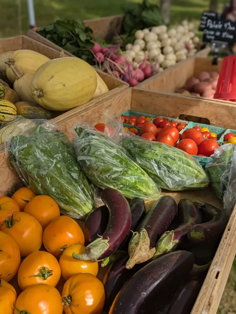 Étal de légumes frais au marché local