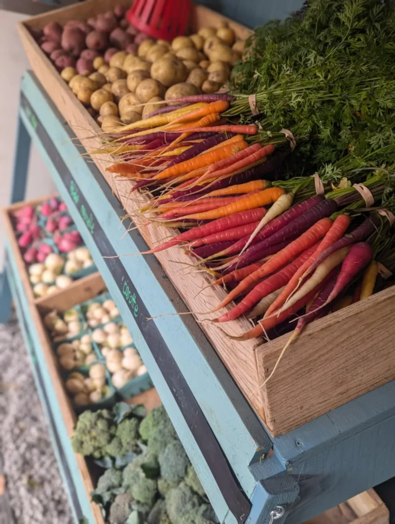 Carottes multicolores sur étal de marché