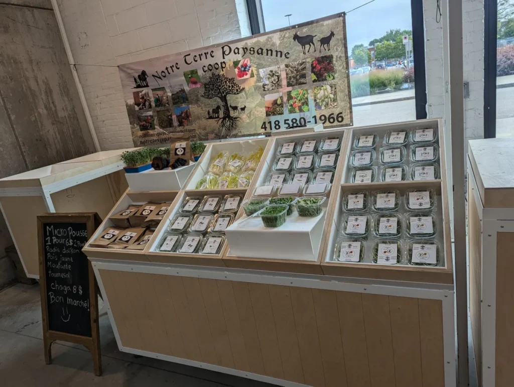 Stand de micro-pousses en magasin local
