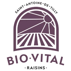 RAISINS BIO.VITAL