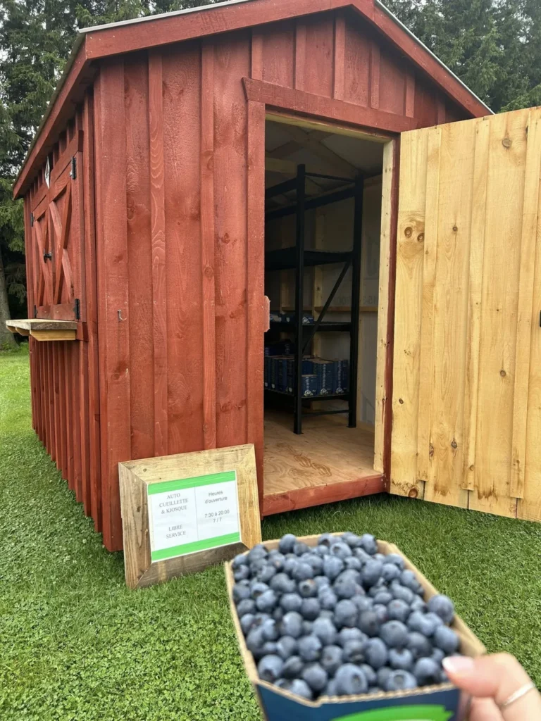 Kiosque en bois rouge et myrtilles fraîches