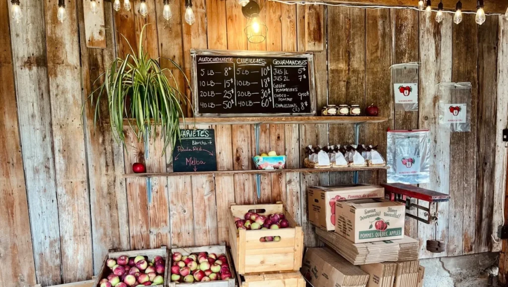 Étal rustique de pommes avec tableau des prix