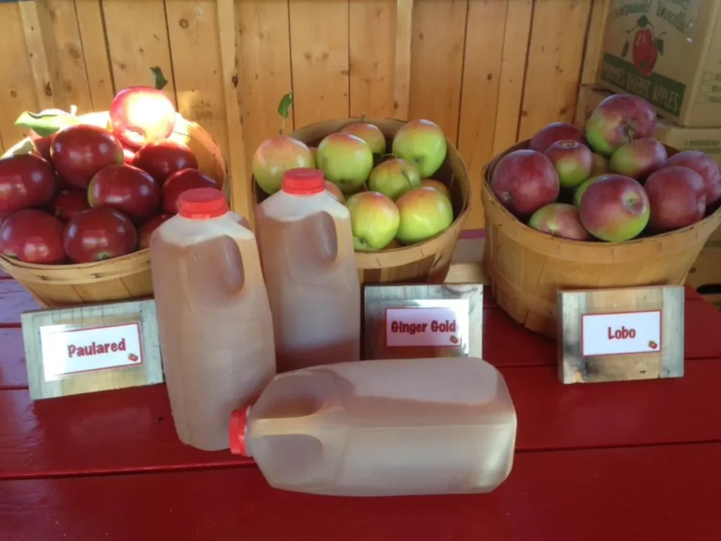 Paniers de pommes et bouteilles de cidre