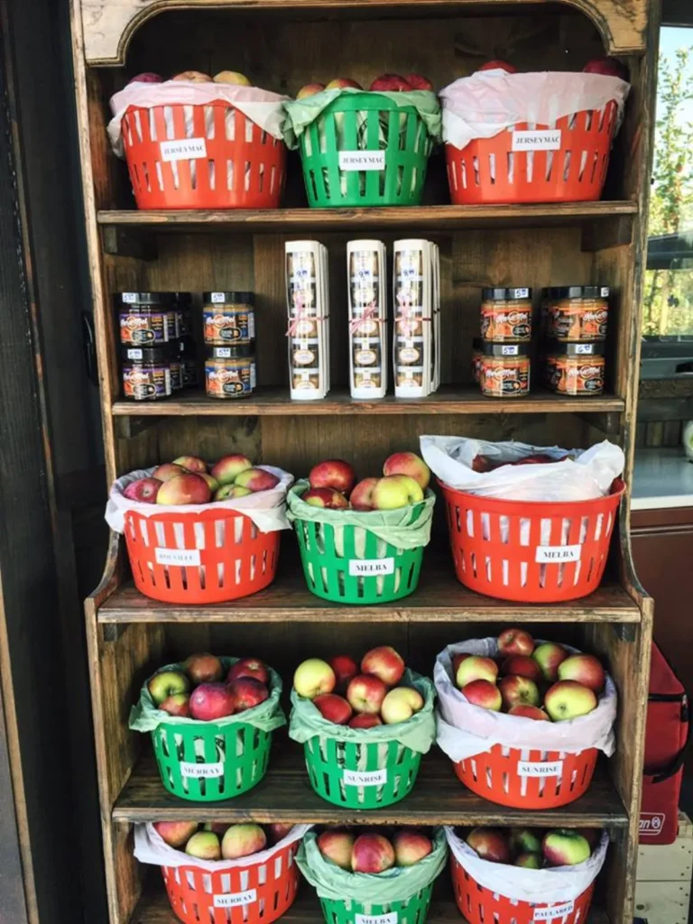 Paniers de pommes sur étagère en bois