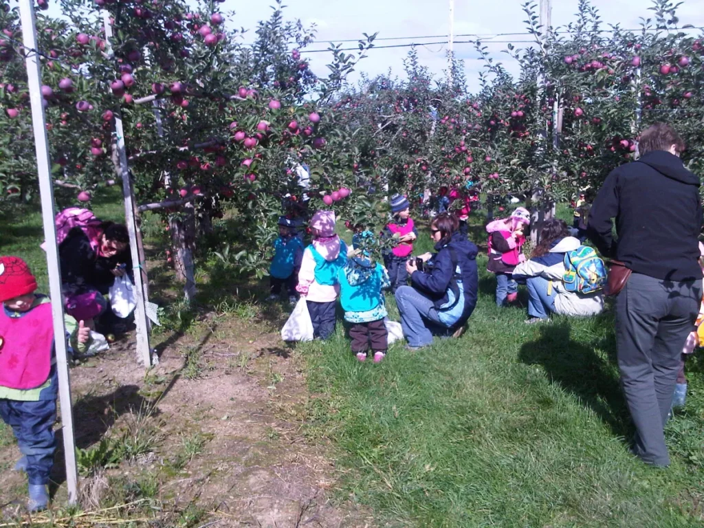 Enfants cueillant des pommes dans un verger