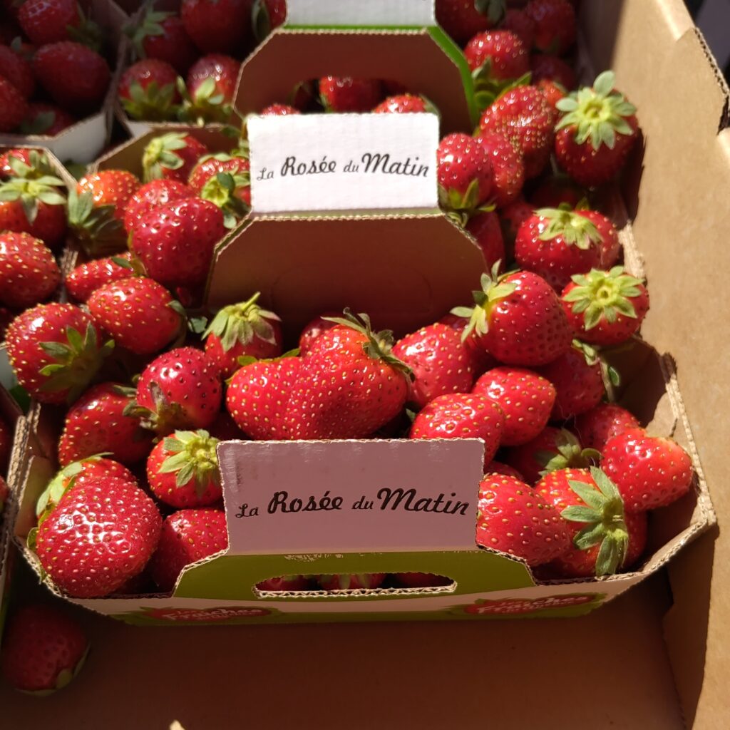 Barquettes de fraises La Rosée du Matin