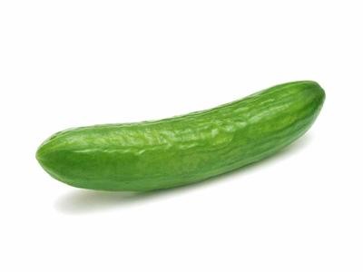 Concombre vert frais sur fond blanc