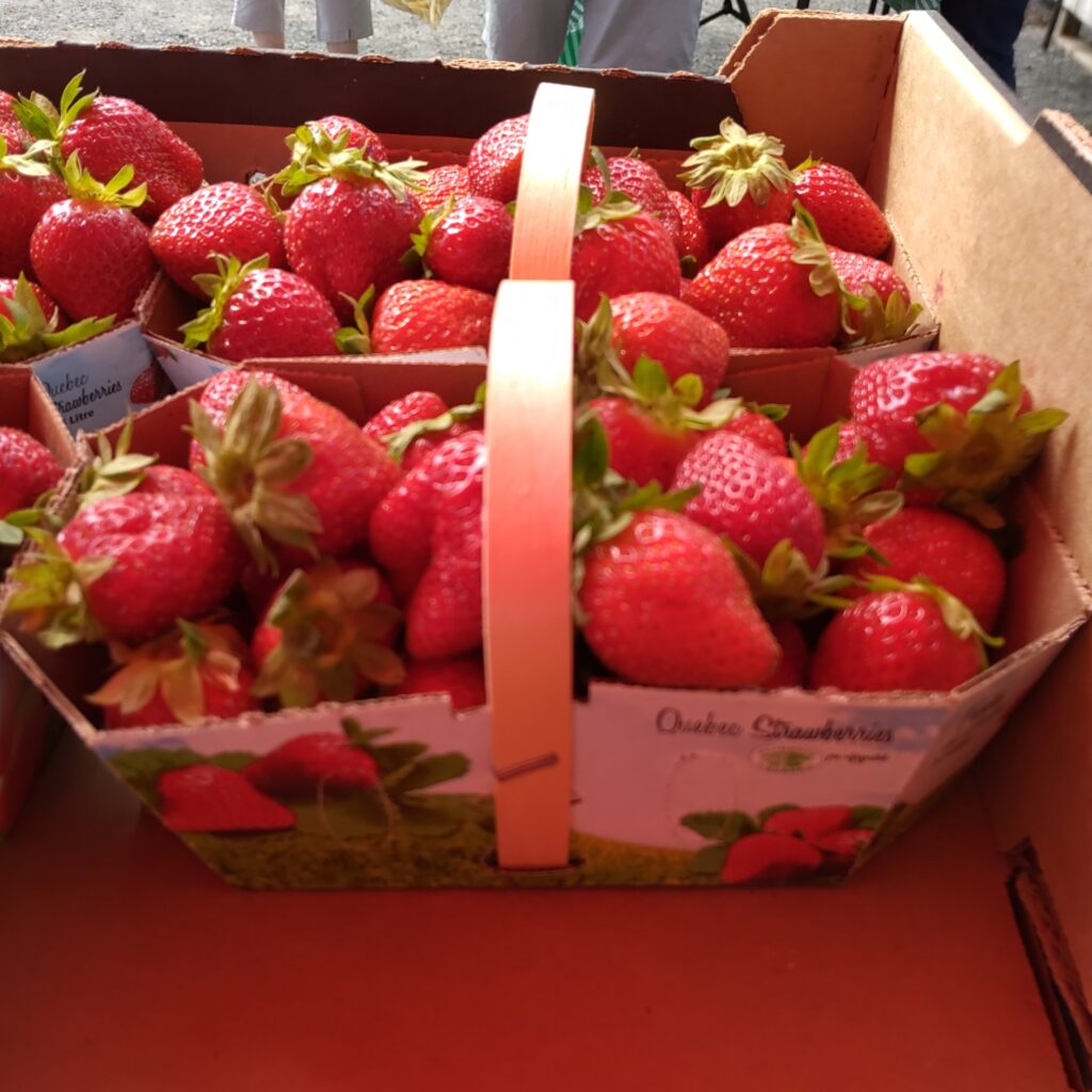 fraises 1.5l rosée du matin